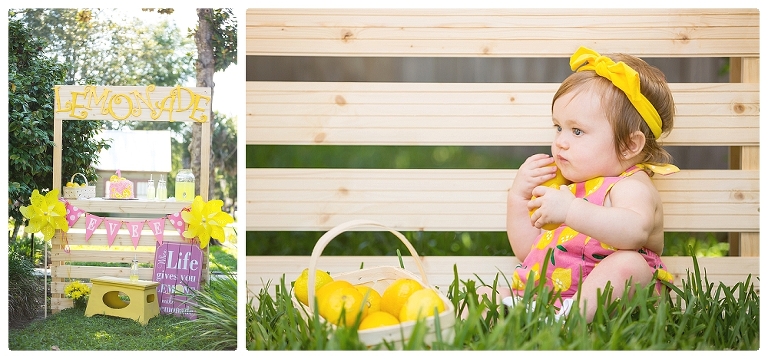 Evees first birthday childcake smash Lake City Gainesville Fl Photography Captured Memories by Esta Photographer Columbia Fl Live Oak Fl North Florida portraits_0009