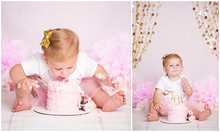 Bella 1st Birthday cake smash Childrens portrait pics Photographer Session Lake City Fl White Springs Portrait Live Oak Fl Gainesville Captured Memories by Esta_0006