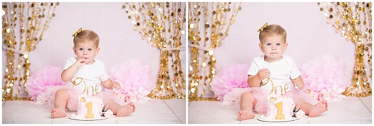 Bella 1st Birthday cake smash Childrens portrait pics Photographer Session Lake City Fl White Springs Portrait Live Oak Fl Gainesville Captured Memories by Esta_0008